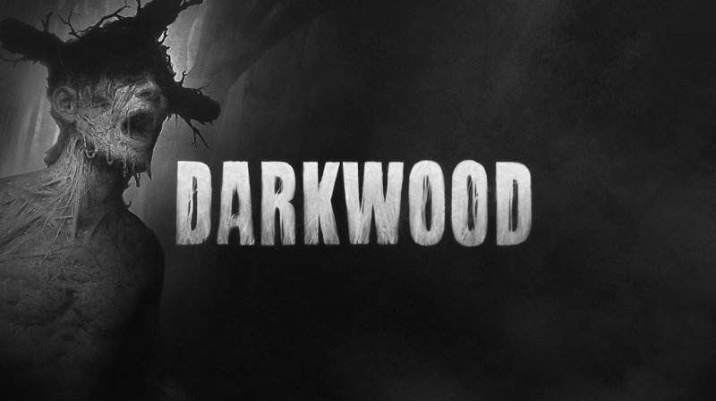 阴暗森林 Darkwood  v1.3 恐怖游戏 中文版